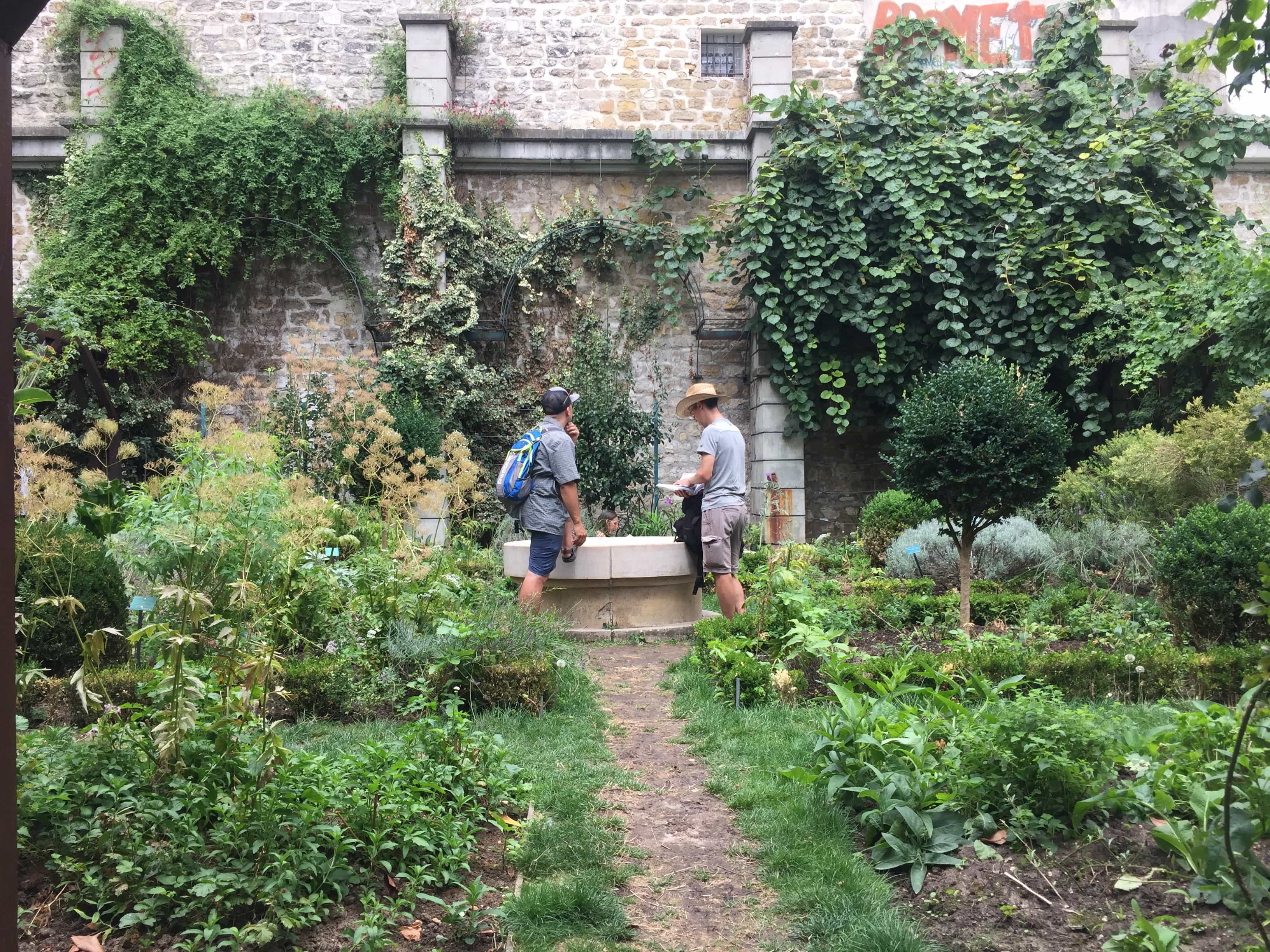 Garden in the middle of no where/Paris