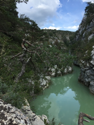 River water at the Canyon