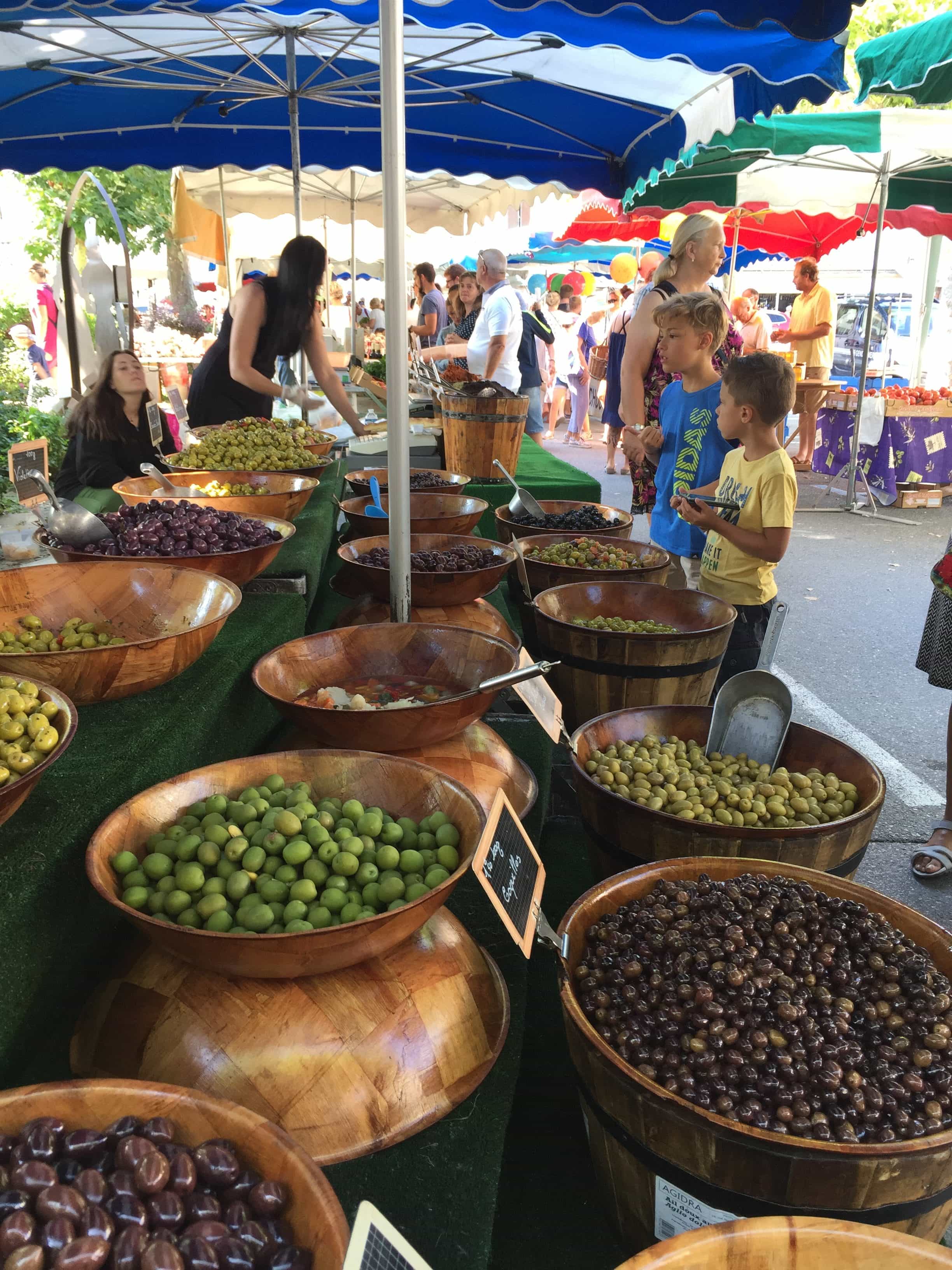 Olives for days in Castellane