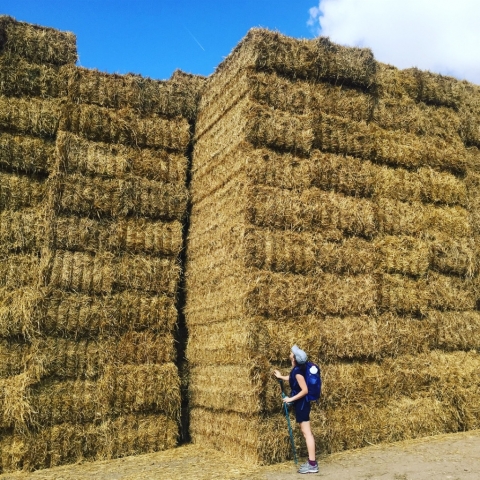 Incredible hay stacks and Feena!