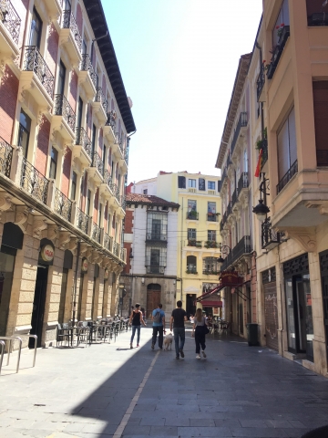 The main street in Leon