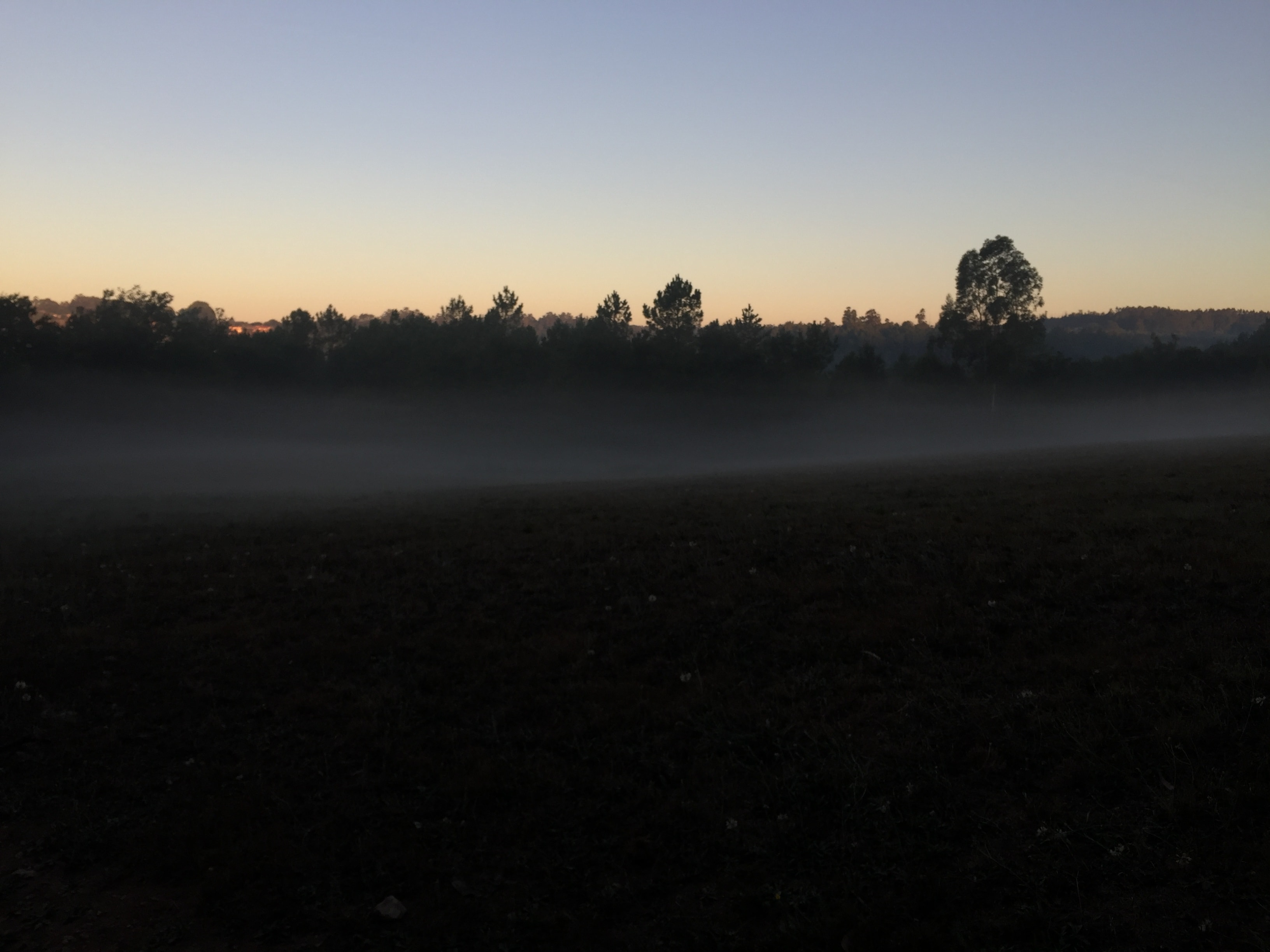 Sun rise over misty fields