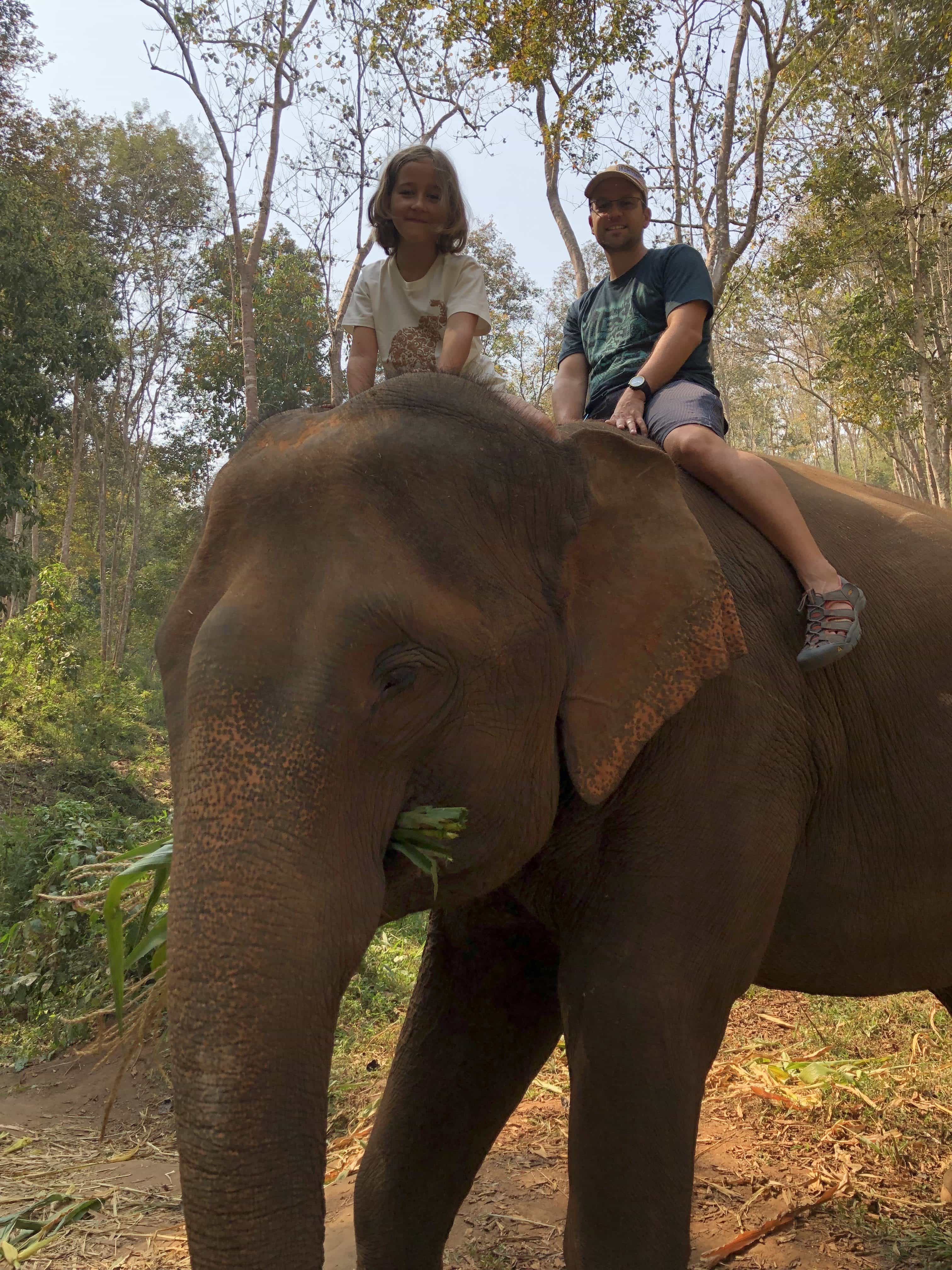 riding an elephant without a seat