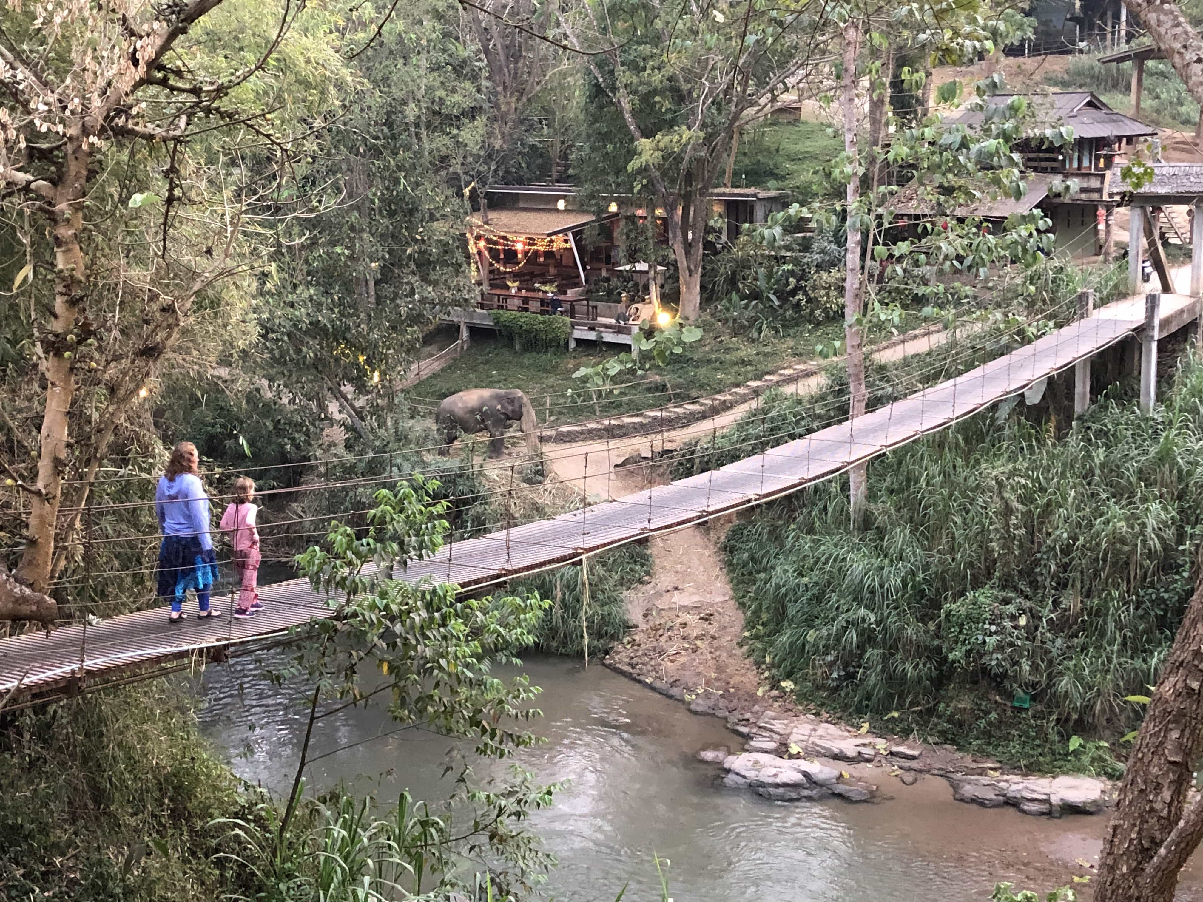 The bridge to elephantville