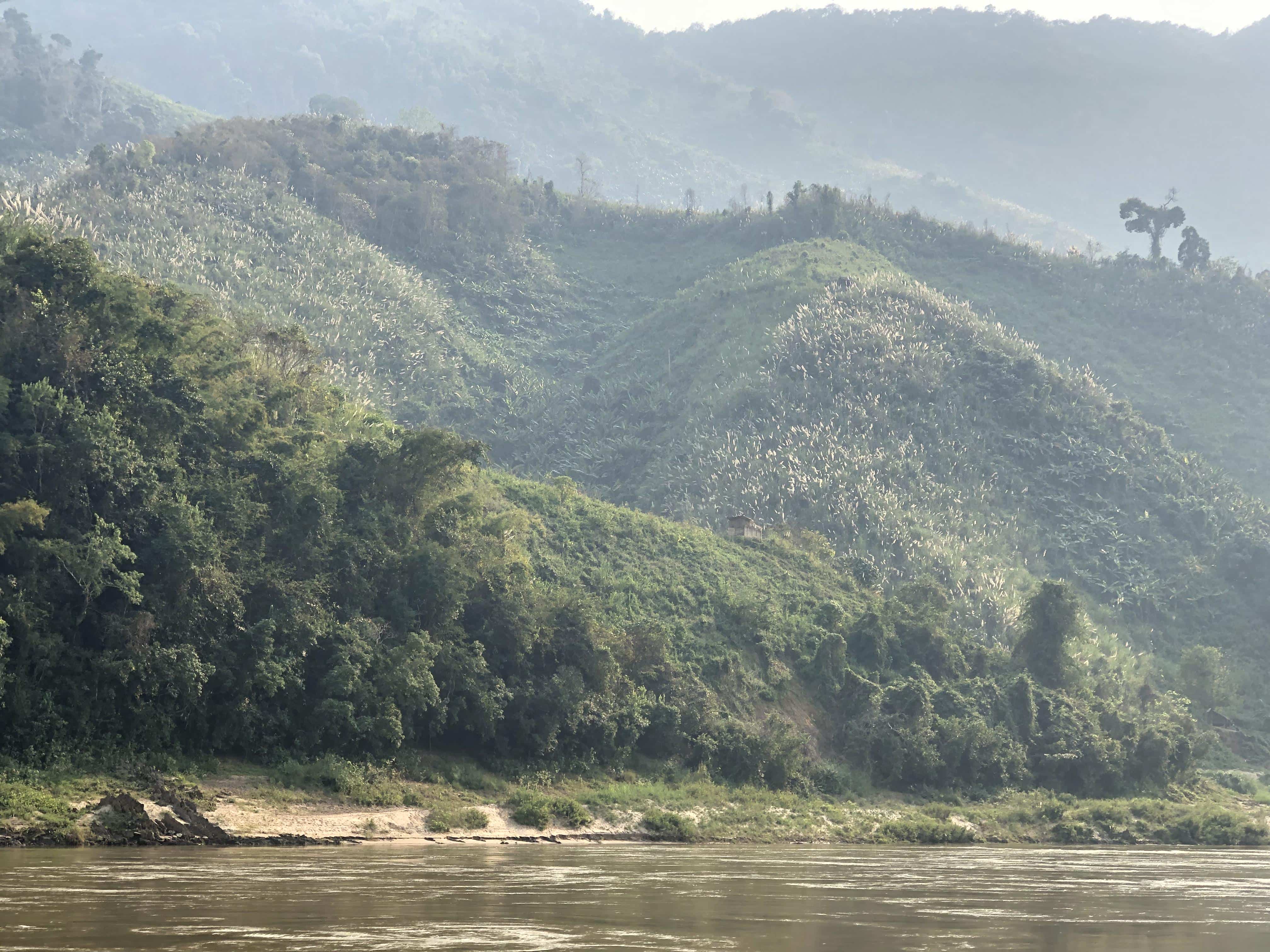 The jungle and The Mekong