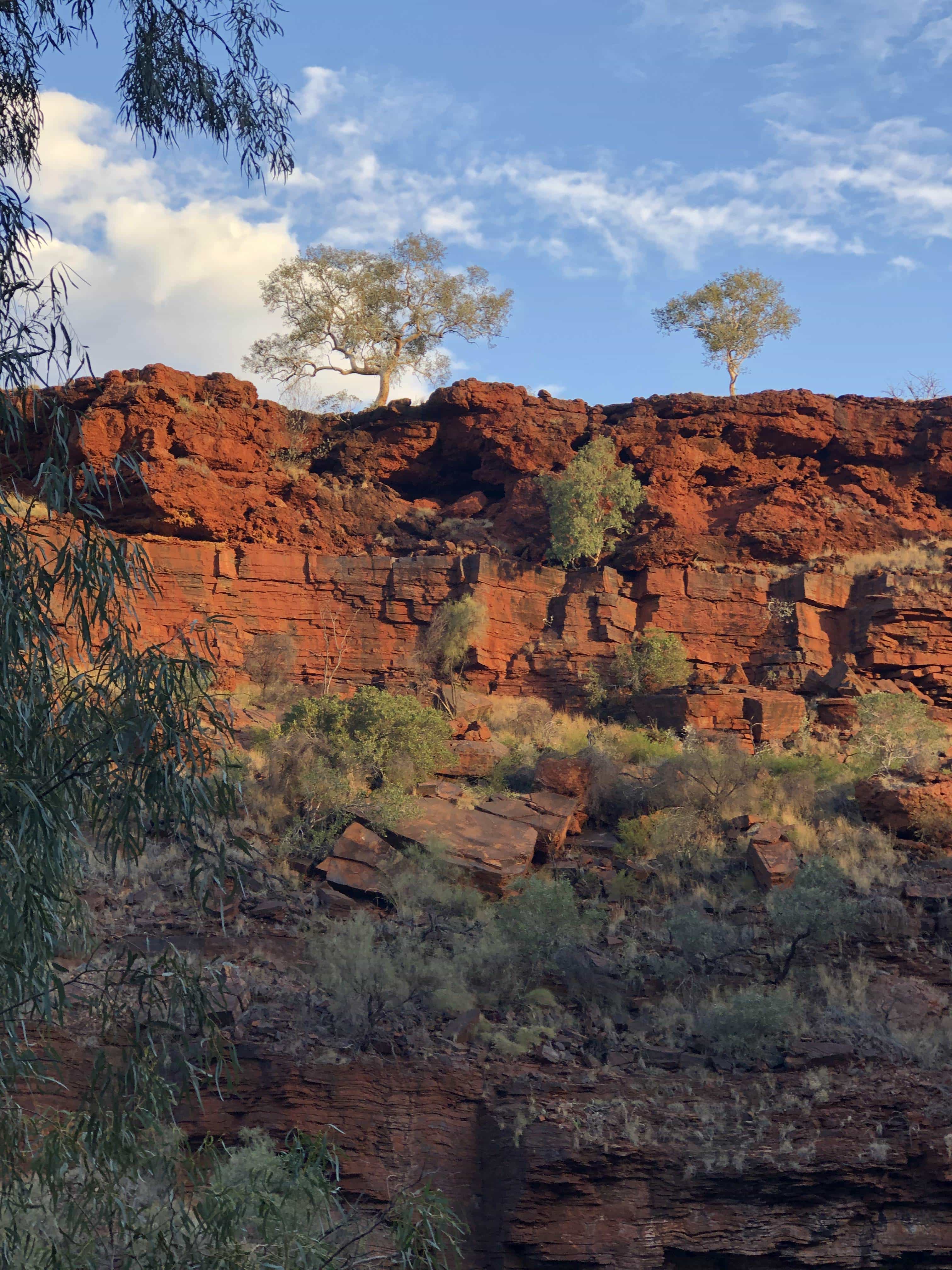 Sunset colours over Dales Gorge