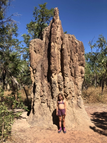 Termite Mound @ Litchfield National Park