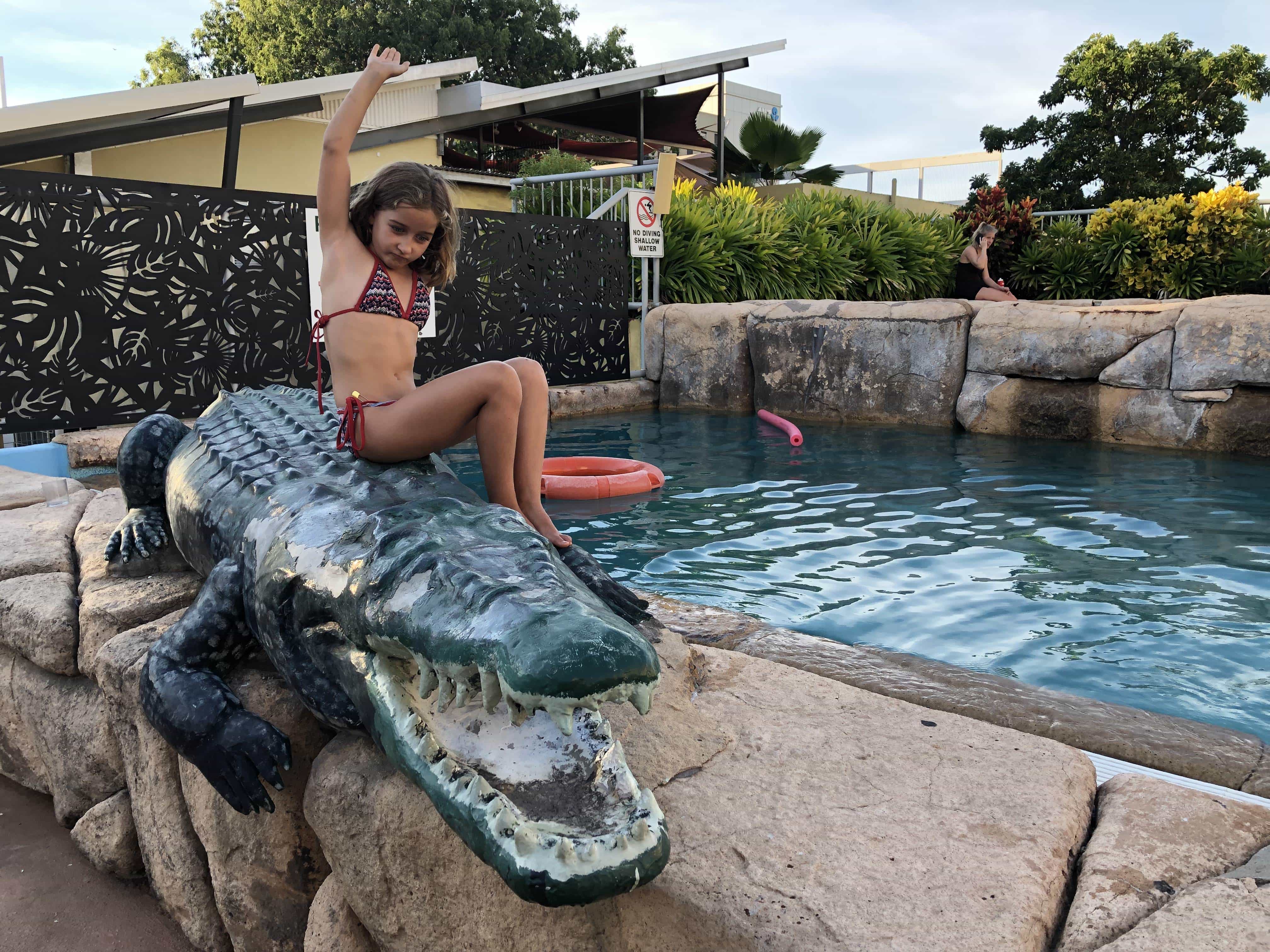 Big crocodile and swimming